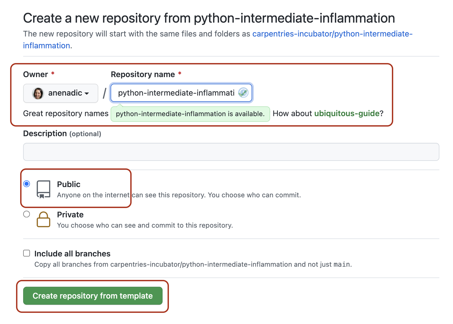 Making a copy of the software project template repository in GitHub