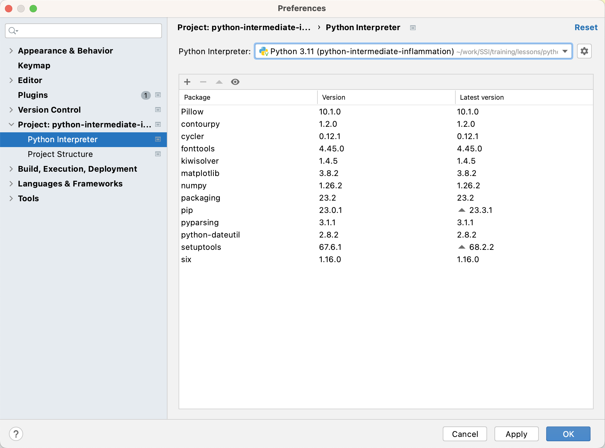 Packages Currently Installed in a Virtual Environment in PyCharm