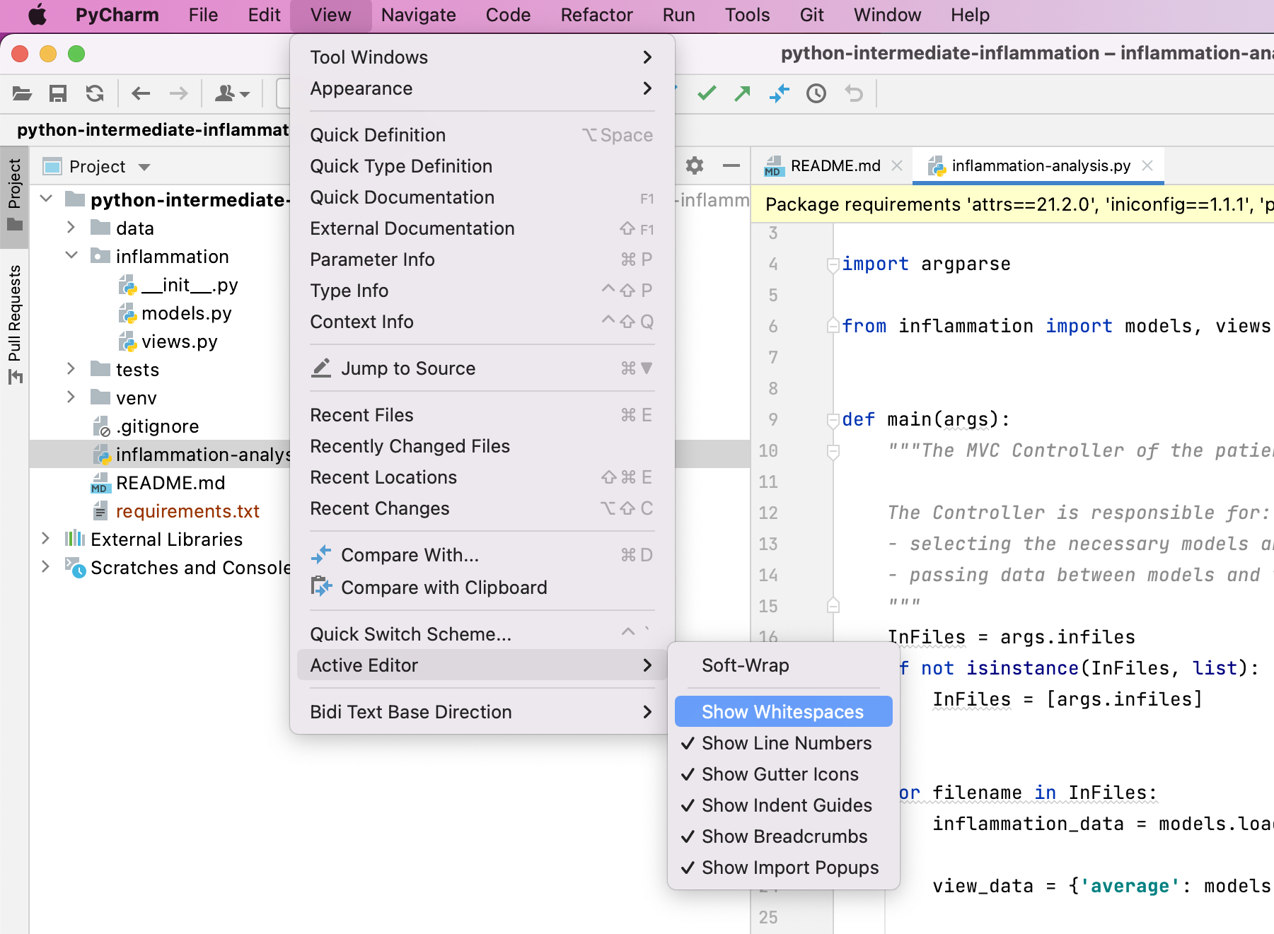 Python code whitespace settings in PyCharm