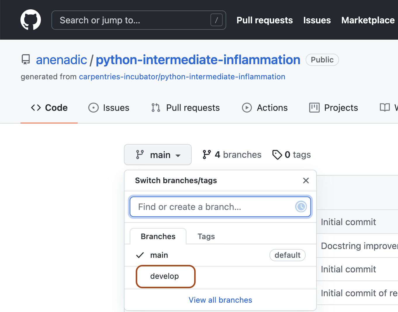 Software project's develop branch